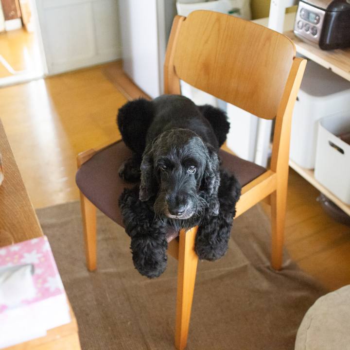 6a5f626d 55c6 4835 81c0 4d3af2d5c4e6 1569902658899