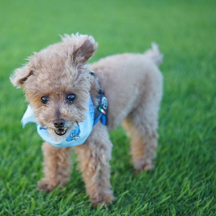 6a5f649a 713b 42d7 aaa8 8ea1e12f42e3 1665297652326