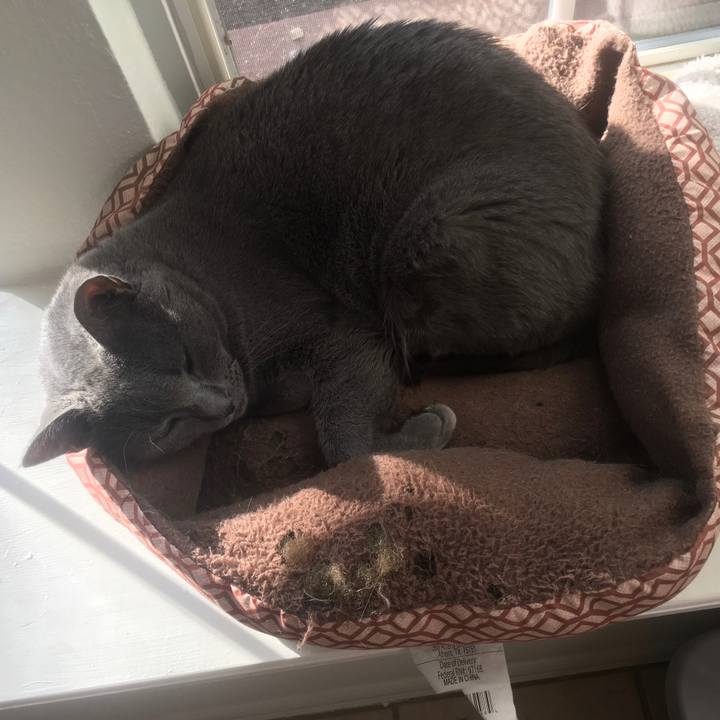 6a5f7b78 9f1d 4709 9036 ac55f1286a58 1655513751247