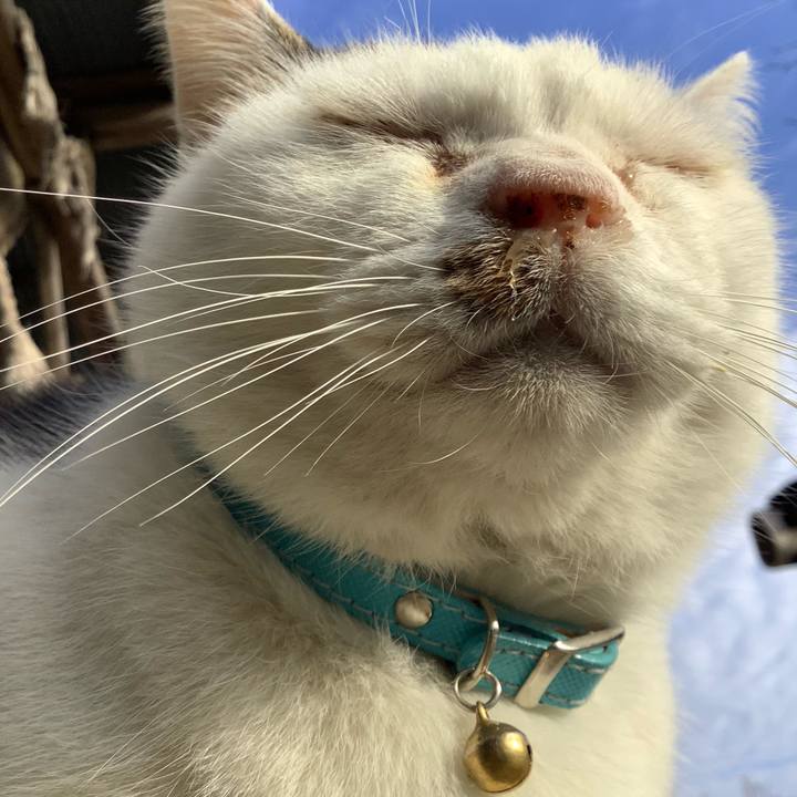 6a5f903f c01f 4c68 ad75 6960f121b20e 1607249147787