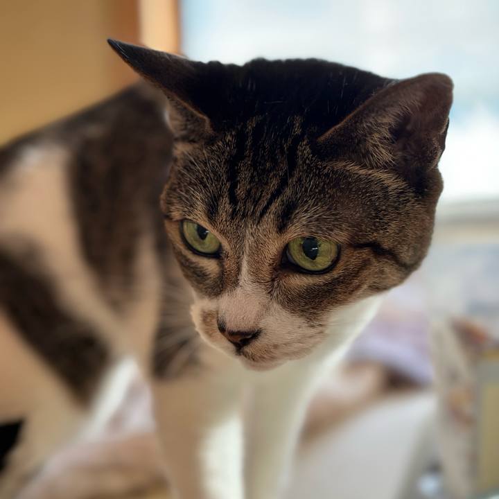 6a5f9446 f0d6 47d5 89be 7b6dcc11eec4 1667873083623