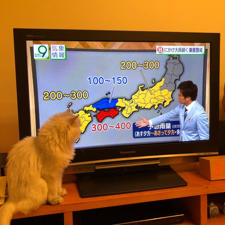 6a5fbf11 55cc 4589 9a44 c0630c7c7688 1530795829242