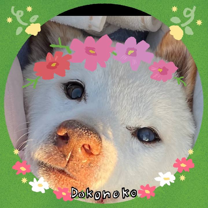 6a5fc3e1 4827 42c5 bf9e 33245e079710 1726875228975