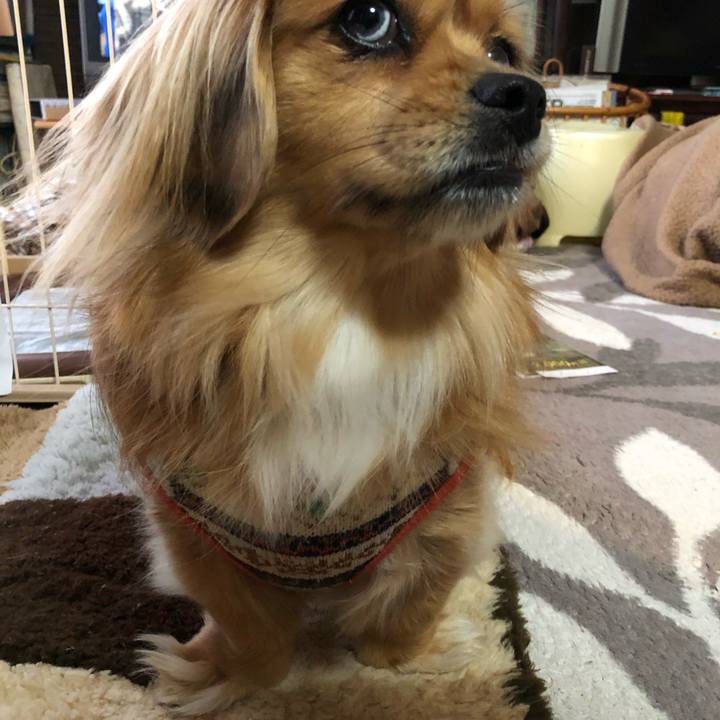 6a5fe32f d64a 49d8 a5ef 35fe13a8110d 1548799534007