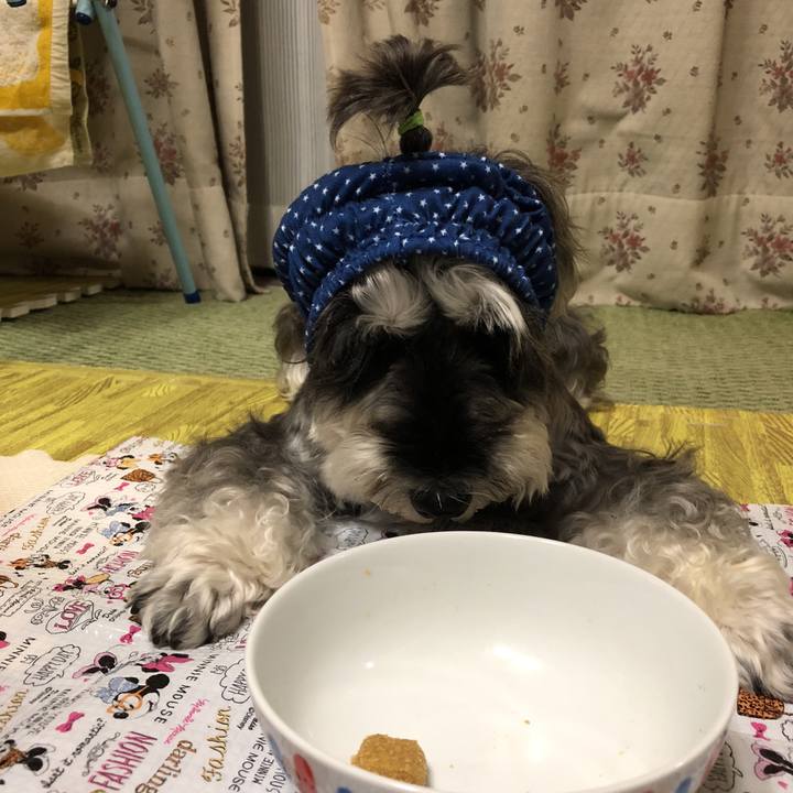 6a5ffa50 7288 44c8 be68 cadca287219b 1536405552591