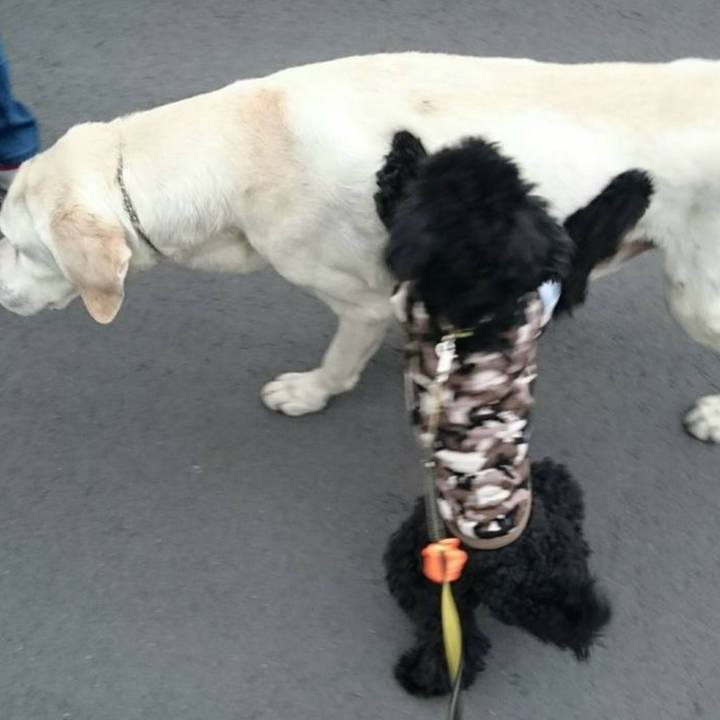 6a601fa3 cb9e 4f28 8a07 cb428f9faf8c 1735988148160