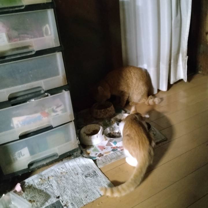 6a602069 5b64 4bd4 a76b a434e7bb9f8e 1728857264999