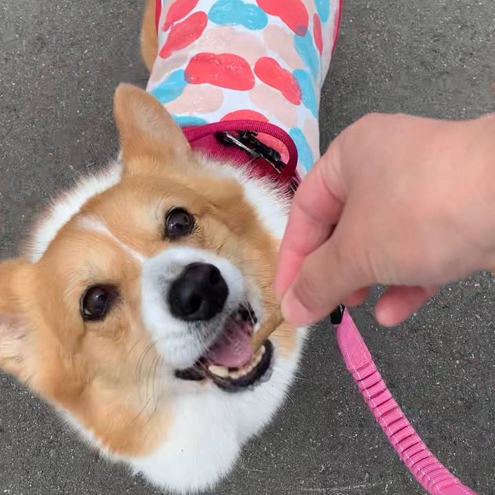 6a60460c 00b8 4459 94e9 24091beba67b 1652585847868