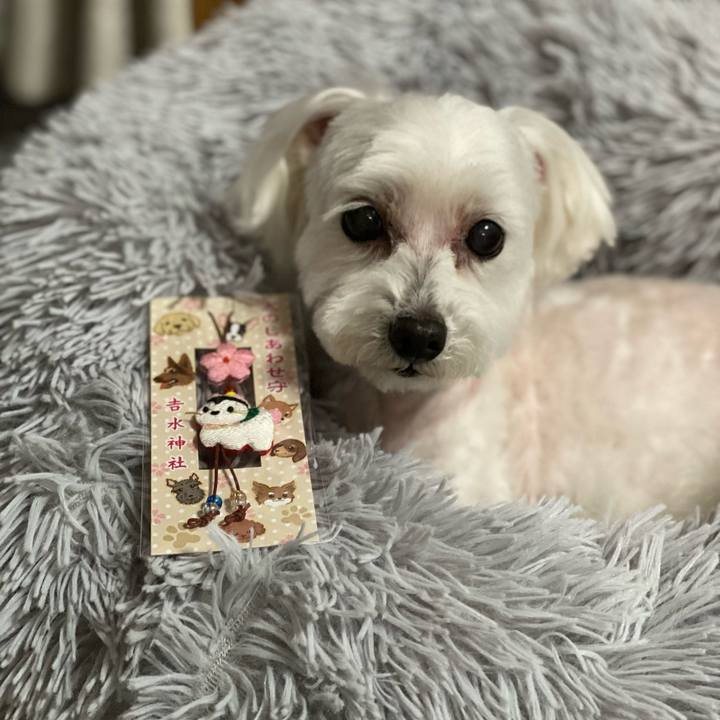 6a6060e4 5352 4dc5 b956 c0756bcfb56a 1699002057445