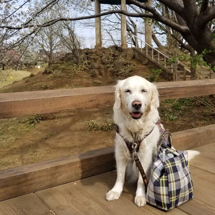 6a60baa2 7409 4cce b9b2 d2488431acf6 1758608169621