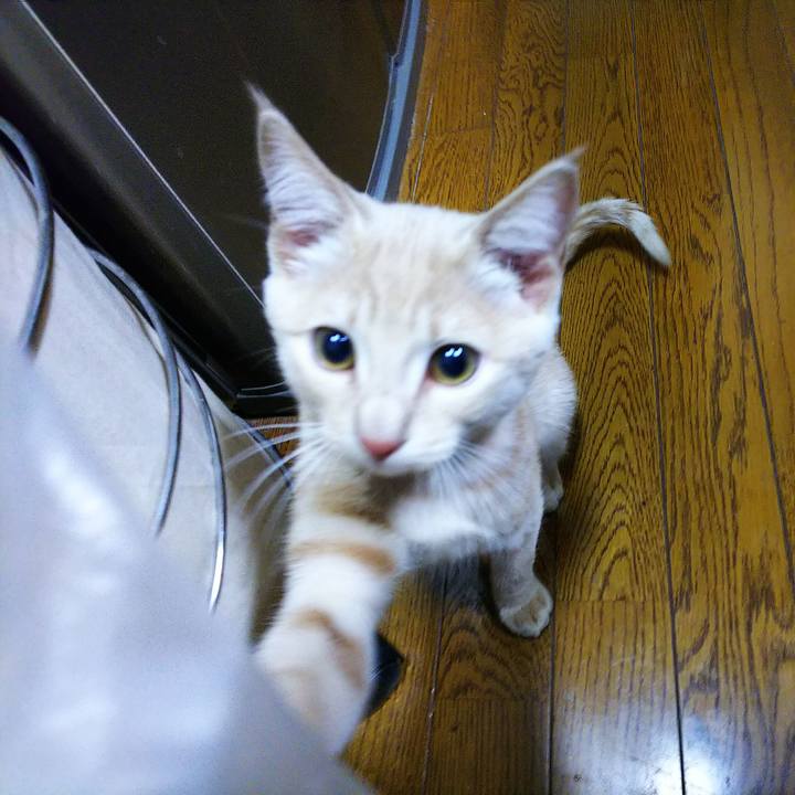 6a60d9ea 6203 44ce b250 7d3a9882c5c2 1541923566465