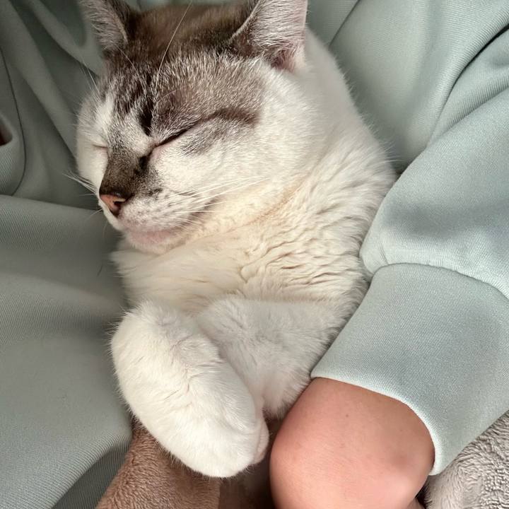 6a60db45 40f3 45f1 9db3 d48ee0217a27 1705232345440