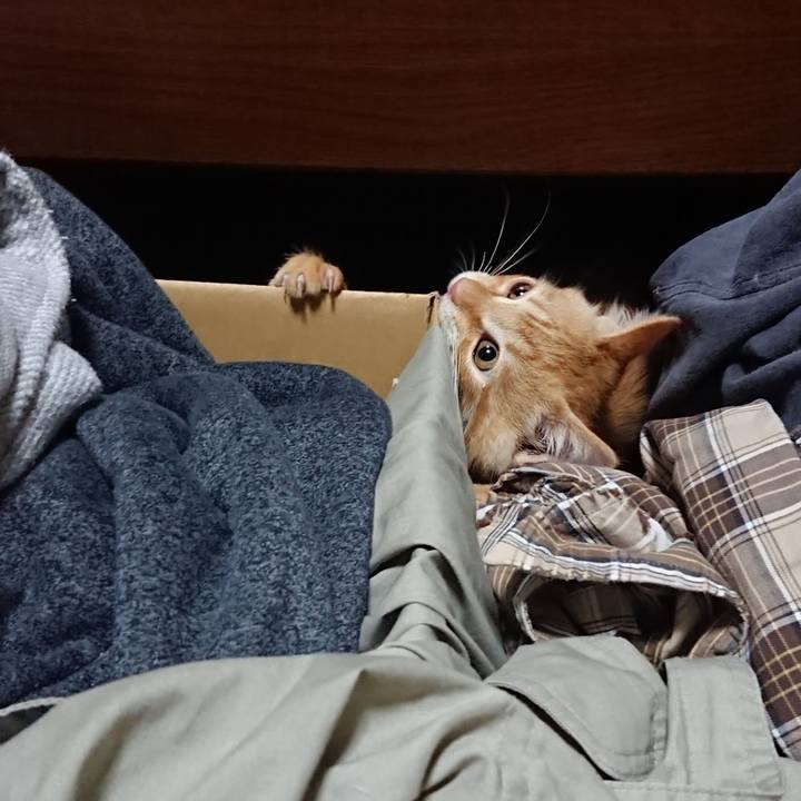 6a610281 59c0 4eab 9746 366c4548c1d4 1631706126516