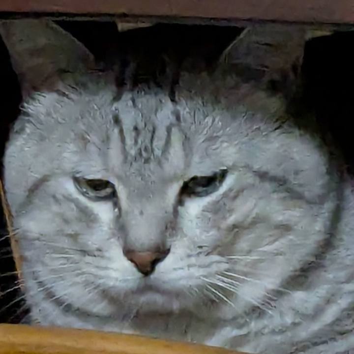 6a61574f c4fc 40d9 a186 40ac659e09be 1751267382208