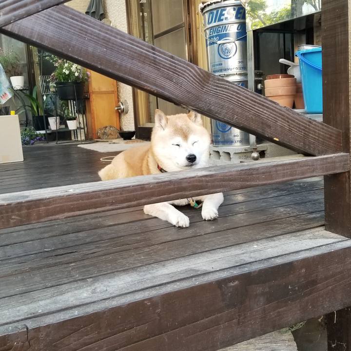 6a618c77 e83f 4c27 be44 6b7ae8432afd 1717491673083