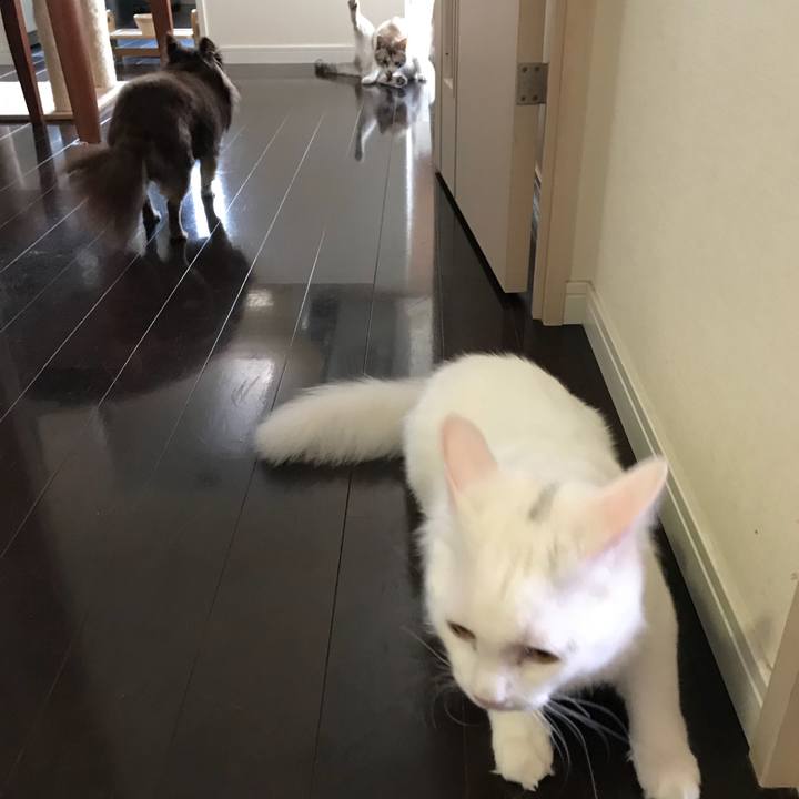 6a61a18b 14d7 4131 8409 3a048fce23c6 1526012067293