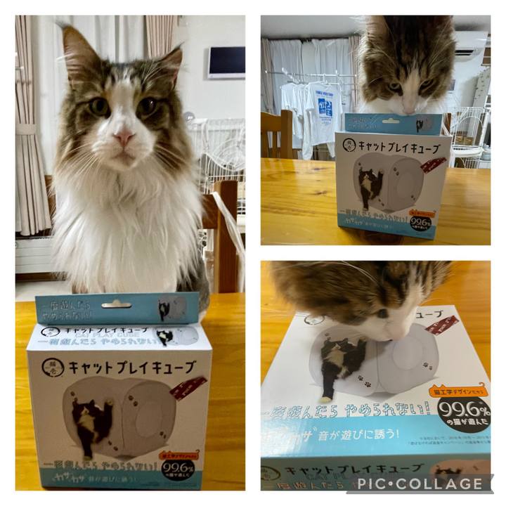 6a61b6ad 4b21 4278 b7a1 7b0a0fa38ca4 1688379782504