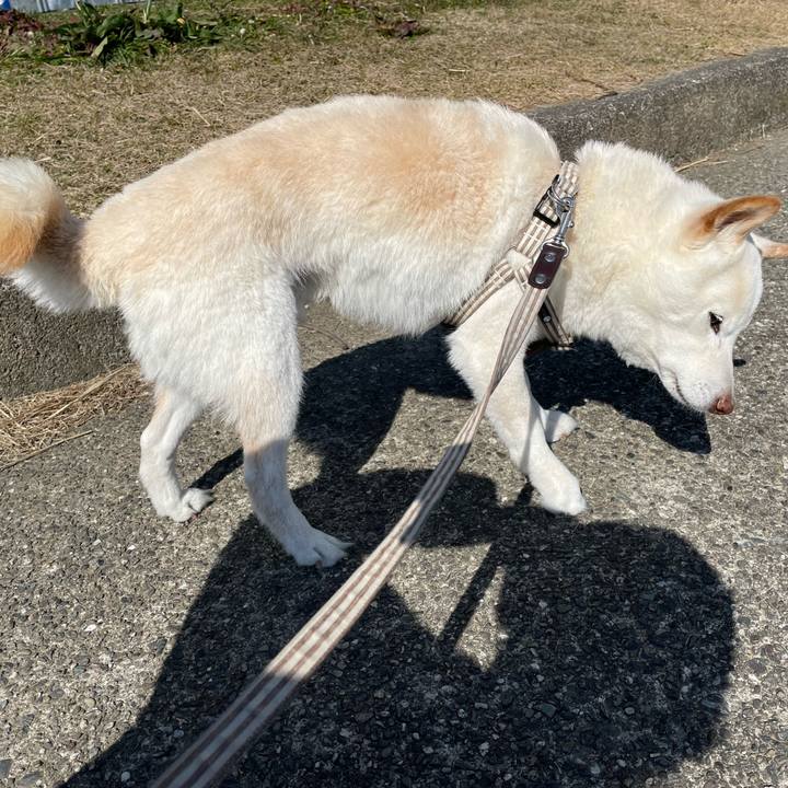 6a61d539 5b97 4c26 851e f65cc974f8ad 1646733499107