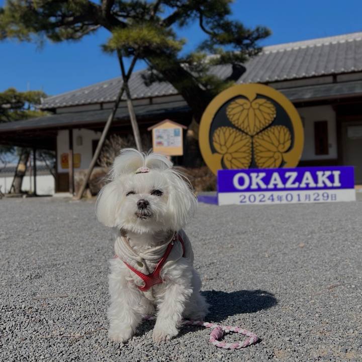 6a61f46c 5610 485b b9e8 d655de9f3af1 1769747373991