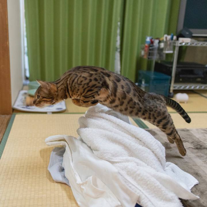 6a62053b 9df4 4a91 98d8 efe64c6027d0 1530796764276