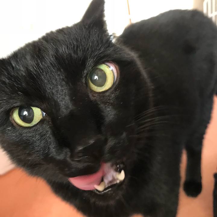 6a62640f 2340 4058 b19e 3425aa6eccc2 1517535113658