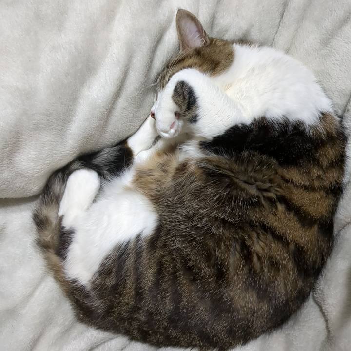 6a626b87 d8a6 4658 abbd c9b5e7201837 1674377589426