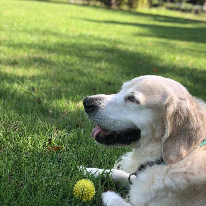 6a626cd1 e8ef 4581 9b79 0e5ca843d24a 1534584530342