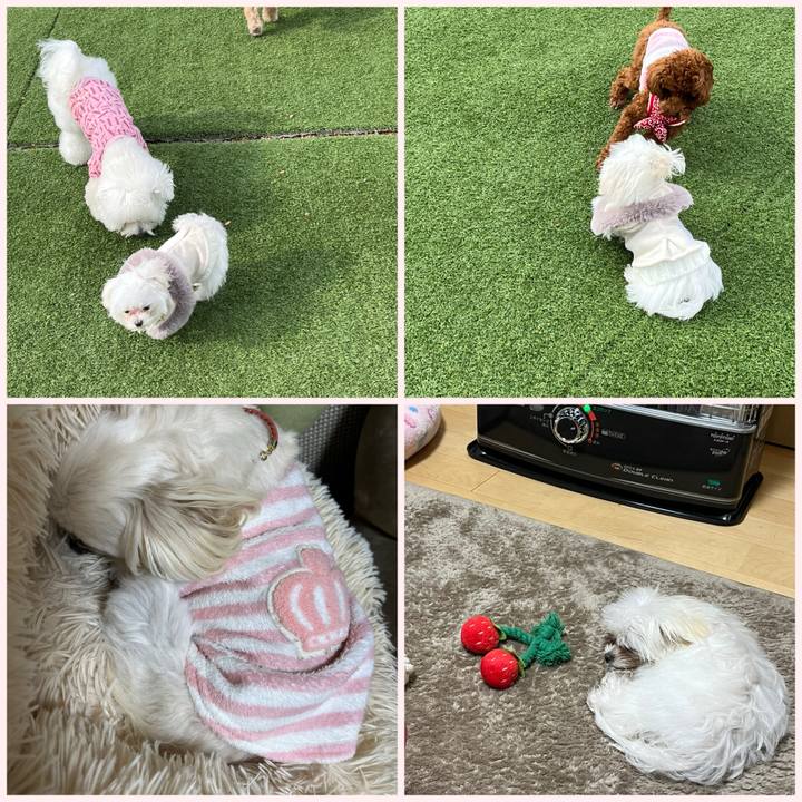 6a63093e 9839 4f2f bc7c 117a431c76e1 1706436964705