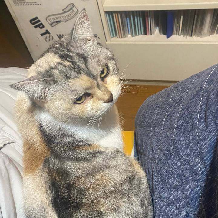 6a632d4f 66d4 42b2 9814 d8eb0909be15 1771062676819