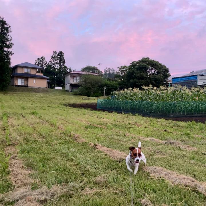 6a63332d d69e 4c1a 9206 723fea14f0e7 1627298724499