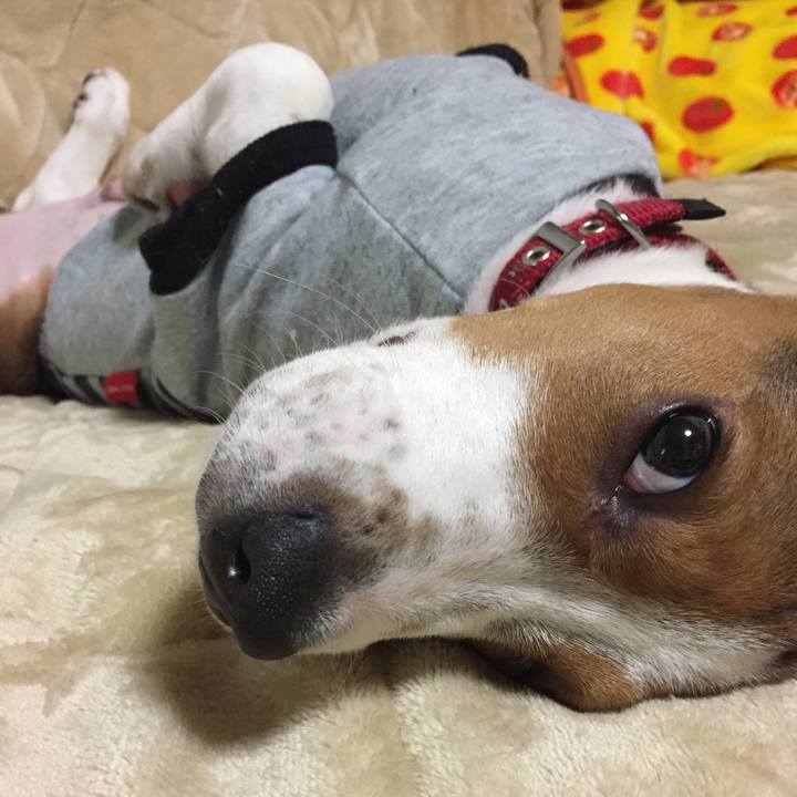 6a635eab be7d 43c2 877b e47cbcf22d4b 1516286631575