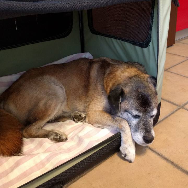 6a638576 4b1a 47b5 9de8 fa806466bccc 1534657812628