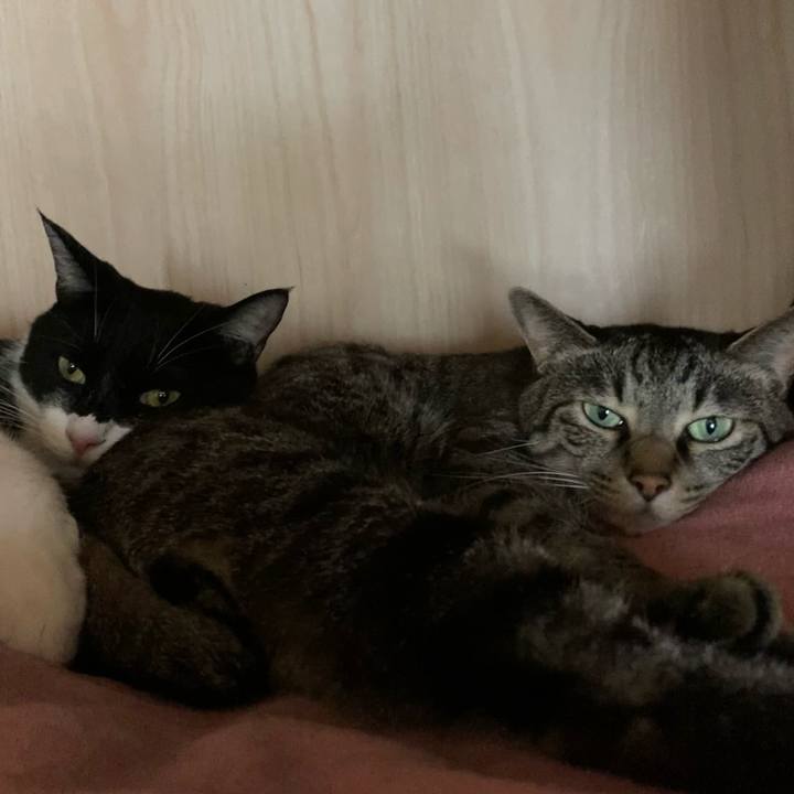 6a638cc7 cd63 4470 9aae 6f193d8bb336 1621309111363