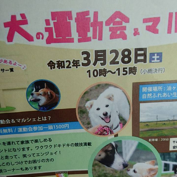 6a63f06e 79f9 40c4 adc2 de21e01bab6e 1584885176375