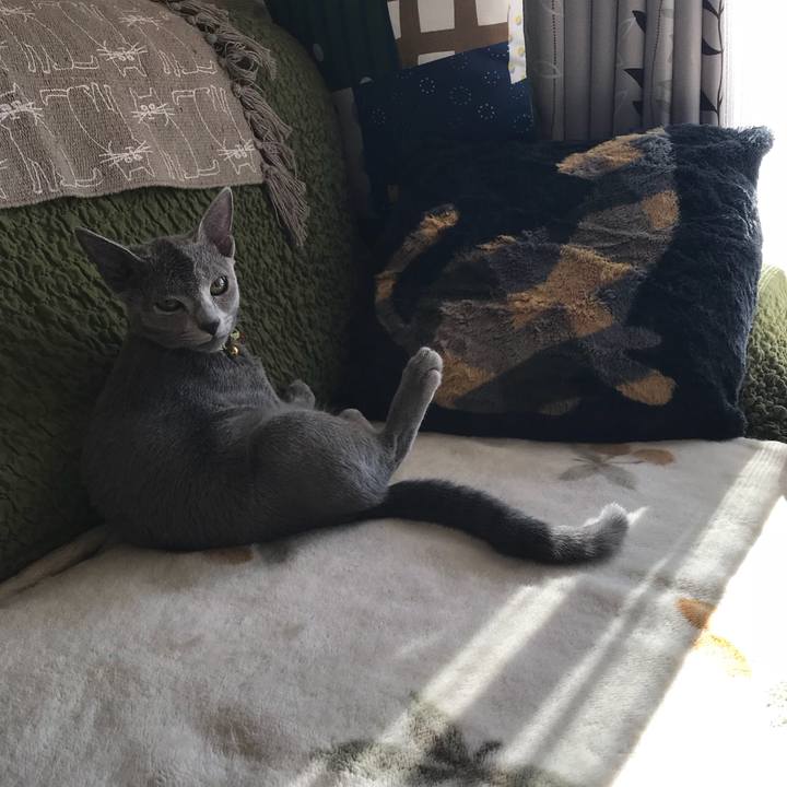 6a6419b8 d67b 4e84 b5a2 74a17fcdf9f4 1512338746270