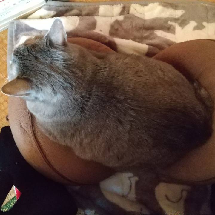 6a642006 3f9e 4559 8b69 2d2f5aa1ecfe 1609540309835