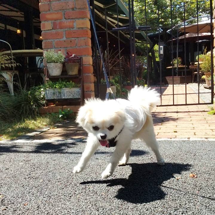 6a643c90 6615 4e1d bb93 47ad89090d49 1651917875831