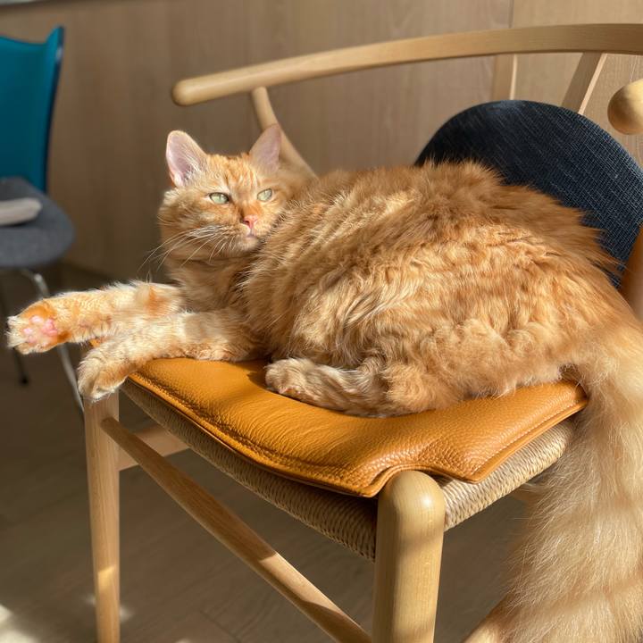 6a643ca2 32fe 4024 8f0a 49117ba346e1 1765599110224