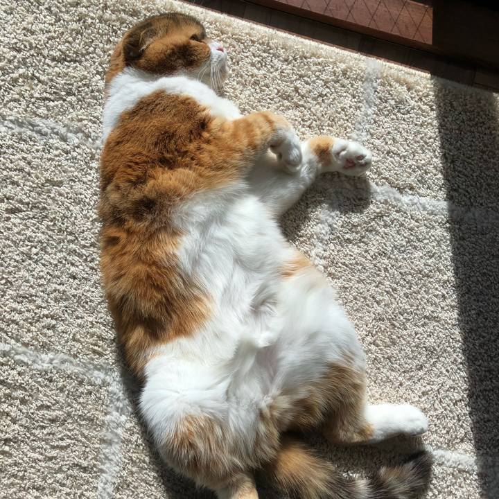 6a646d86 c721 48f6 b978 75d8d5190985 1609379555789