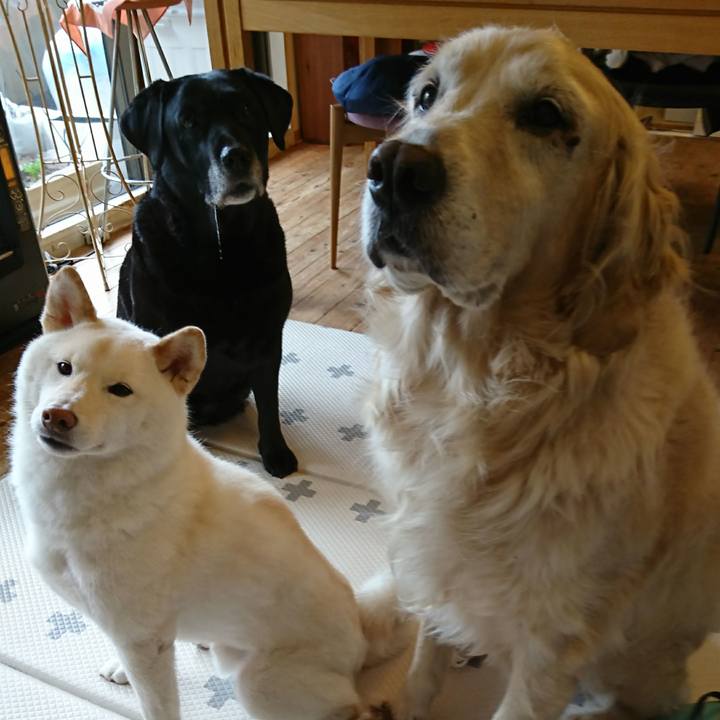 6a648135 f12e 4ed4 b72b 4cbc869739f9 1549676680088