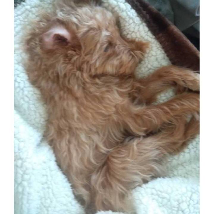 6a649081 2f85 4ccb bdf8 9a961be42e48 1609915569407