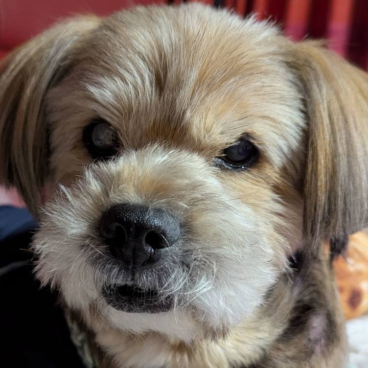 6a6491b5 5763 40d7 a92c 0e784f8da8d2 1733230531381