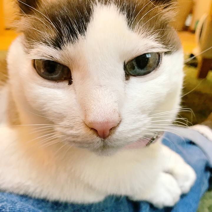 6a64c565 1629 4775 9537 db09e1323515 1521807457050