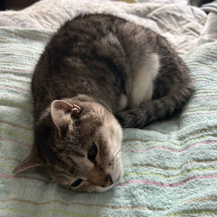 6a64cbda 7aa3 45b8 8005 18dd116dfffb 1764502105740