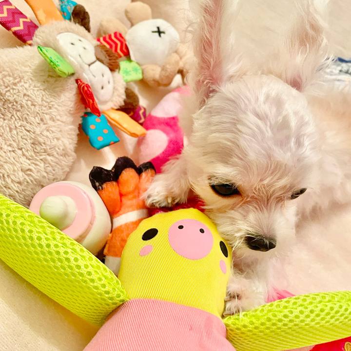 6a64d0ee 5a59 44fe 808d bac561db205f 1631776624529