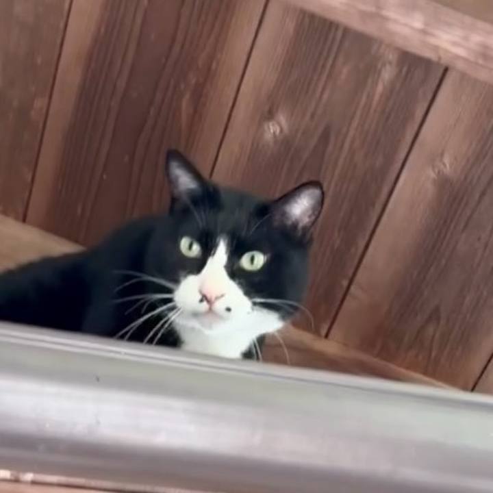 6a657ecf 2903 4124 aad3 c09a1de8c961 1775125339336