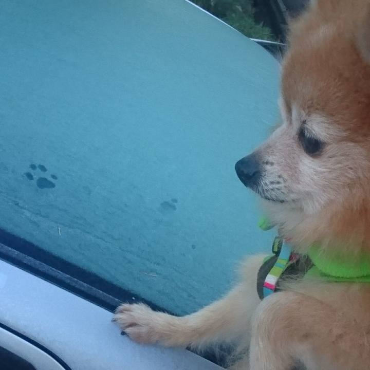 6a658b05 e930 4c11 b871 3558b08d81d2 1575154570367