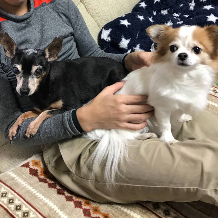 6a65d704 0269 4be4 bca3 c9cd0b156b24 1546164217948