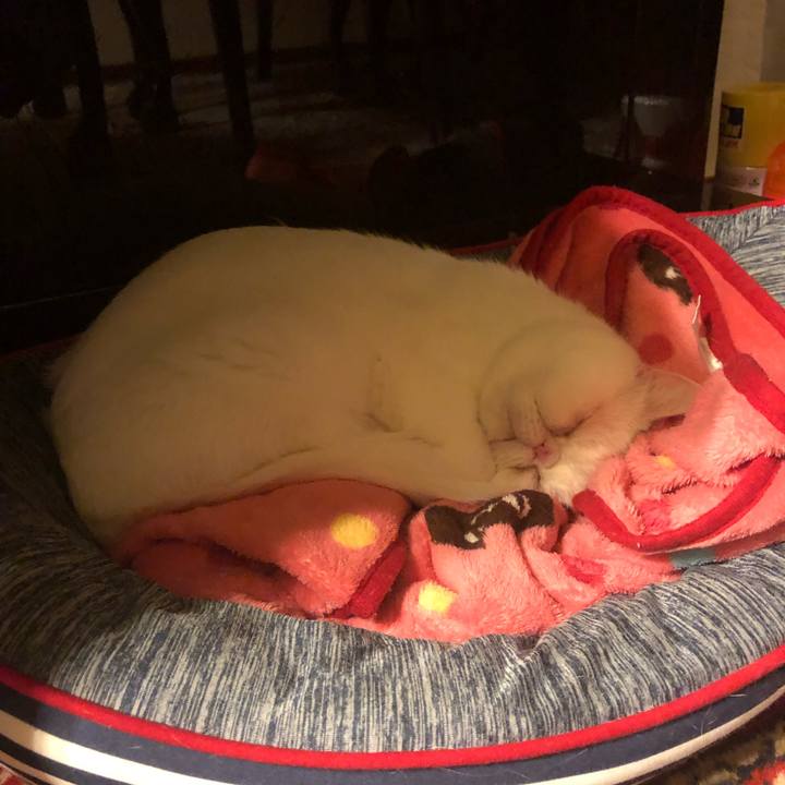 6a662d18 06e3 4435 a45e 0a8c16e2dee0 1619939451661