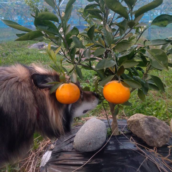 6a666801 5c04 4c47 b899 8664501fd583 1636618448642